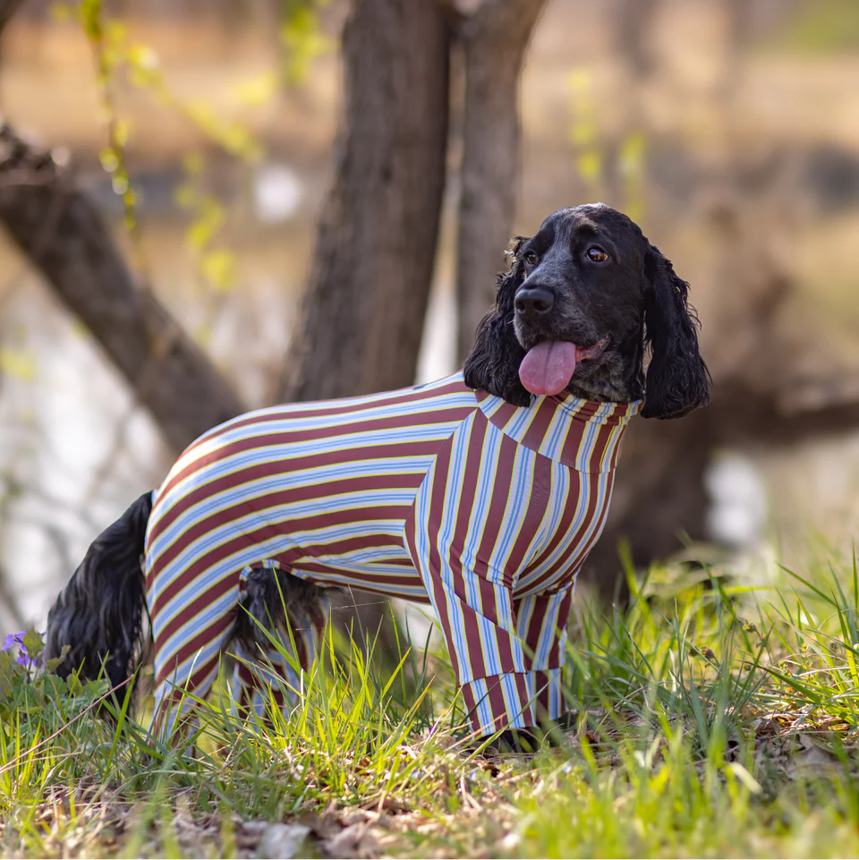 Multi Protect Suit – Cocoa Stripe