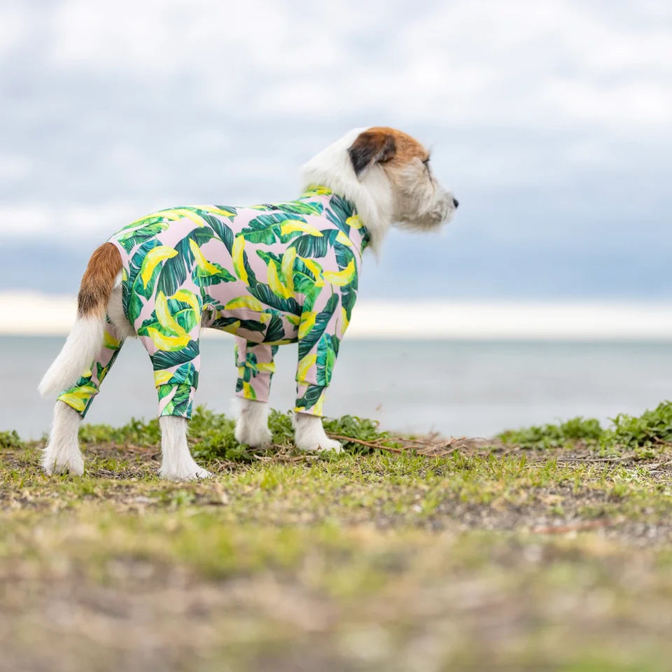 Multi Protect Suit –Dancing Banana
