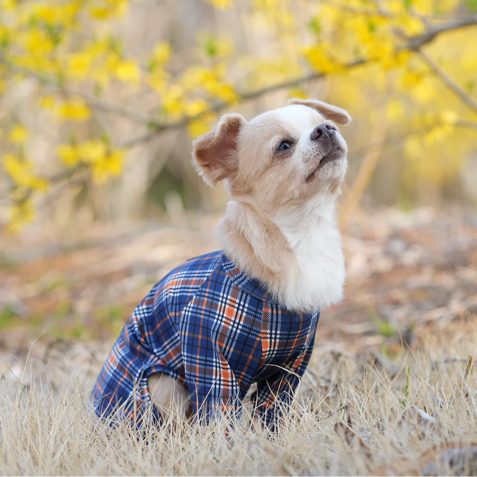 Multi Protect Suit – Orange Tartan