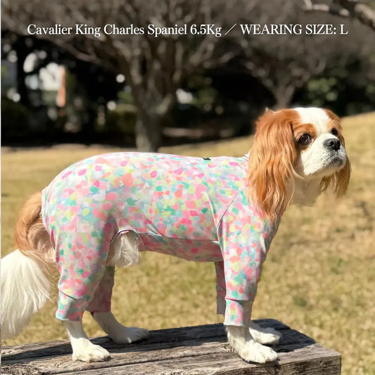 Multi Protect Suit – Spring Splash