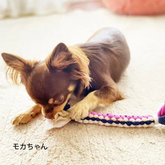 Made in Japan Fleece Rope Dog Toy (S)