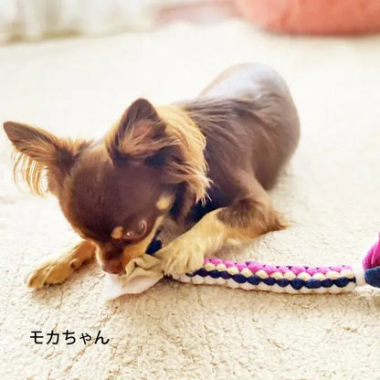 Made in Japan Fleece Rope Dog Toy (S)