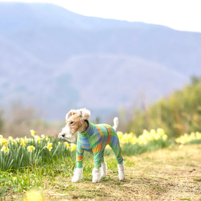 Multi Protect Suit –Funny Block