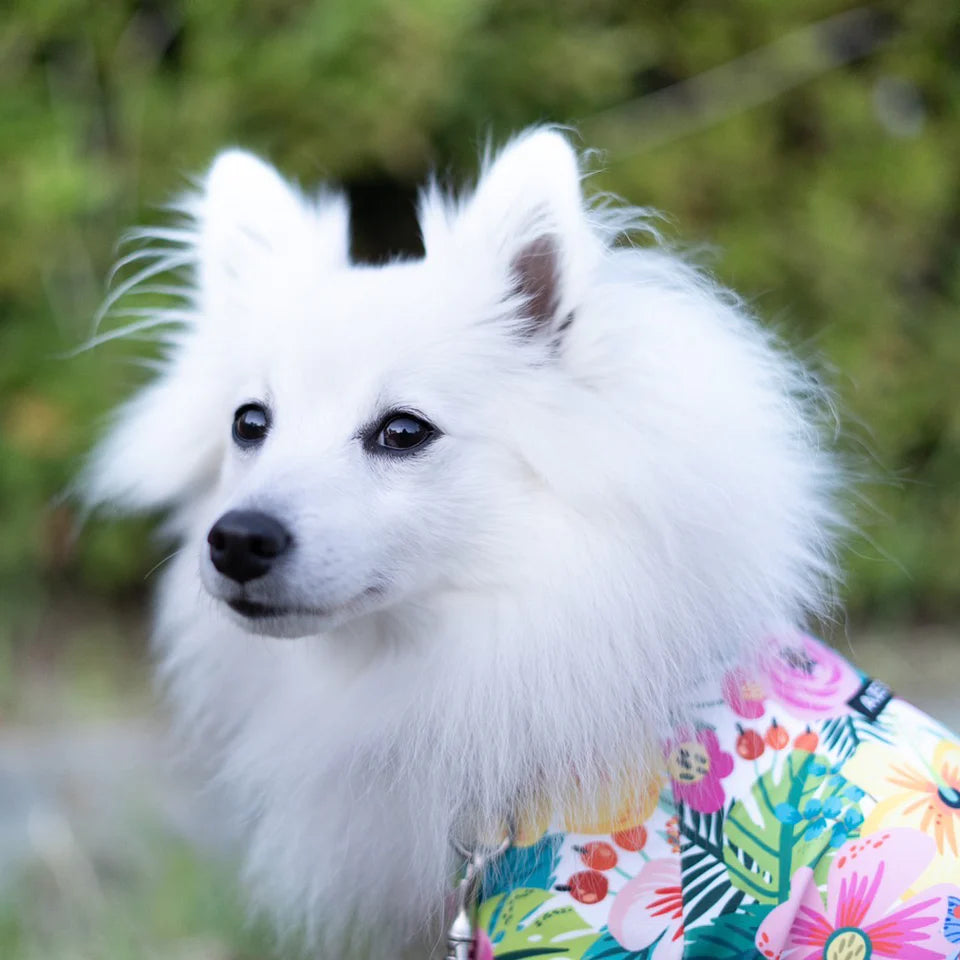 Multi Protect Suit – Bright Flowers