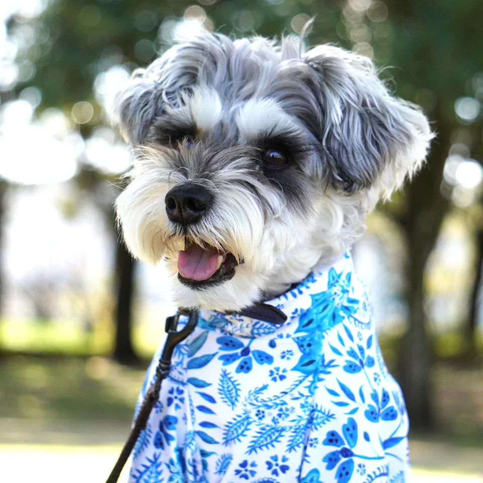 Multi Protect Suit – Blue Paisley