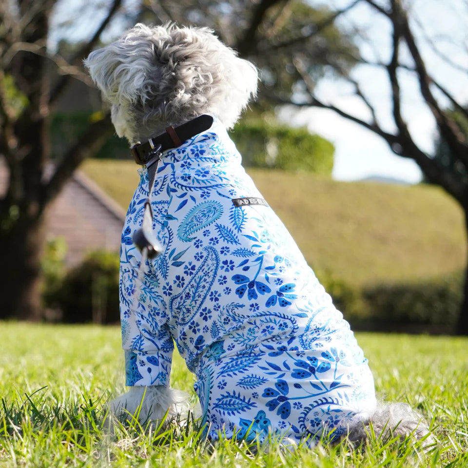 Multi Protect Suit – Blue Paisley