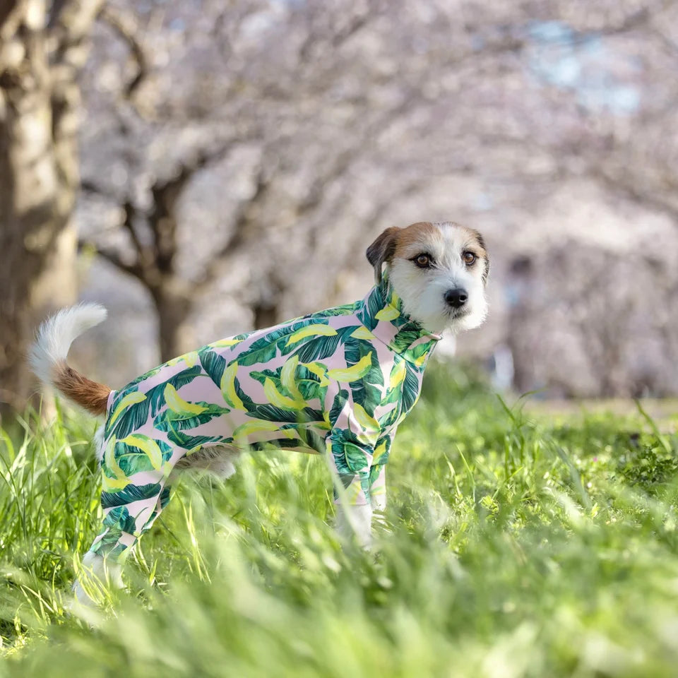 Multi Protect Suit –Dancing Banana