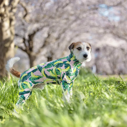 Multi Protect Suit –Dancing Banana