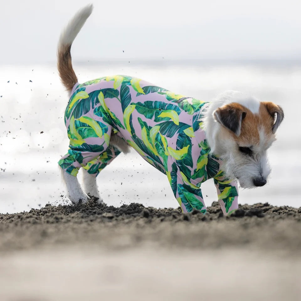 Multi Protect Suit –Dancing Banana