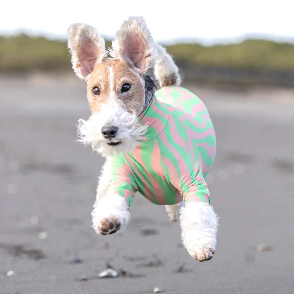 Multi Protect Suit – Good Wave