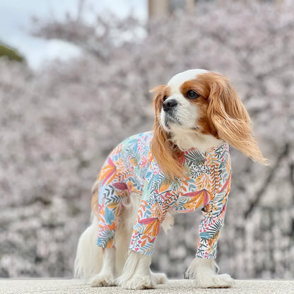 Multi Protect Suit – Joy Bloom
