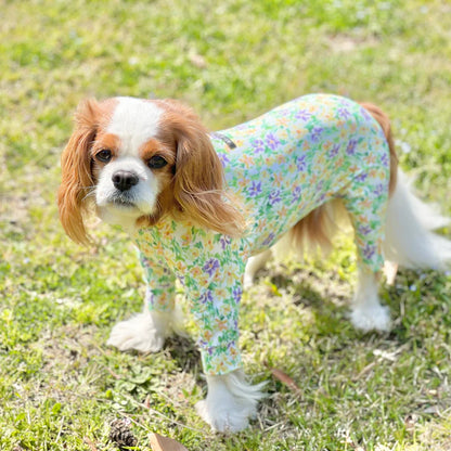 Multi Protect Suit – Daisy Shower