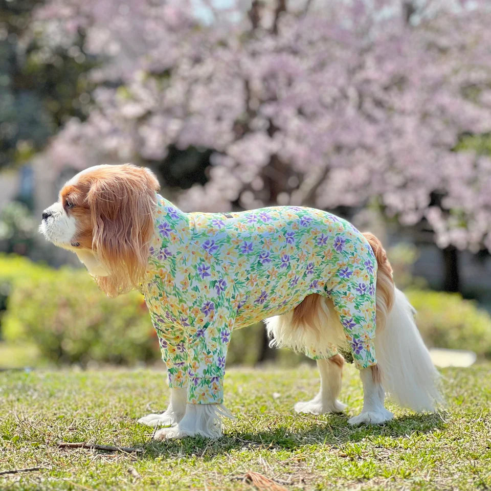 Multi Protect Suit – Daisy Shower