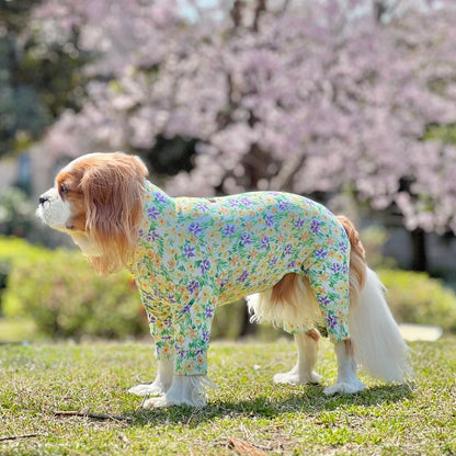 Multi Protect Suit – Daisy Shower