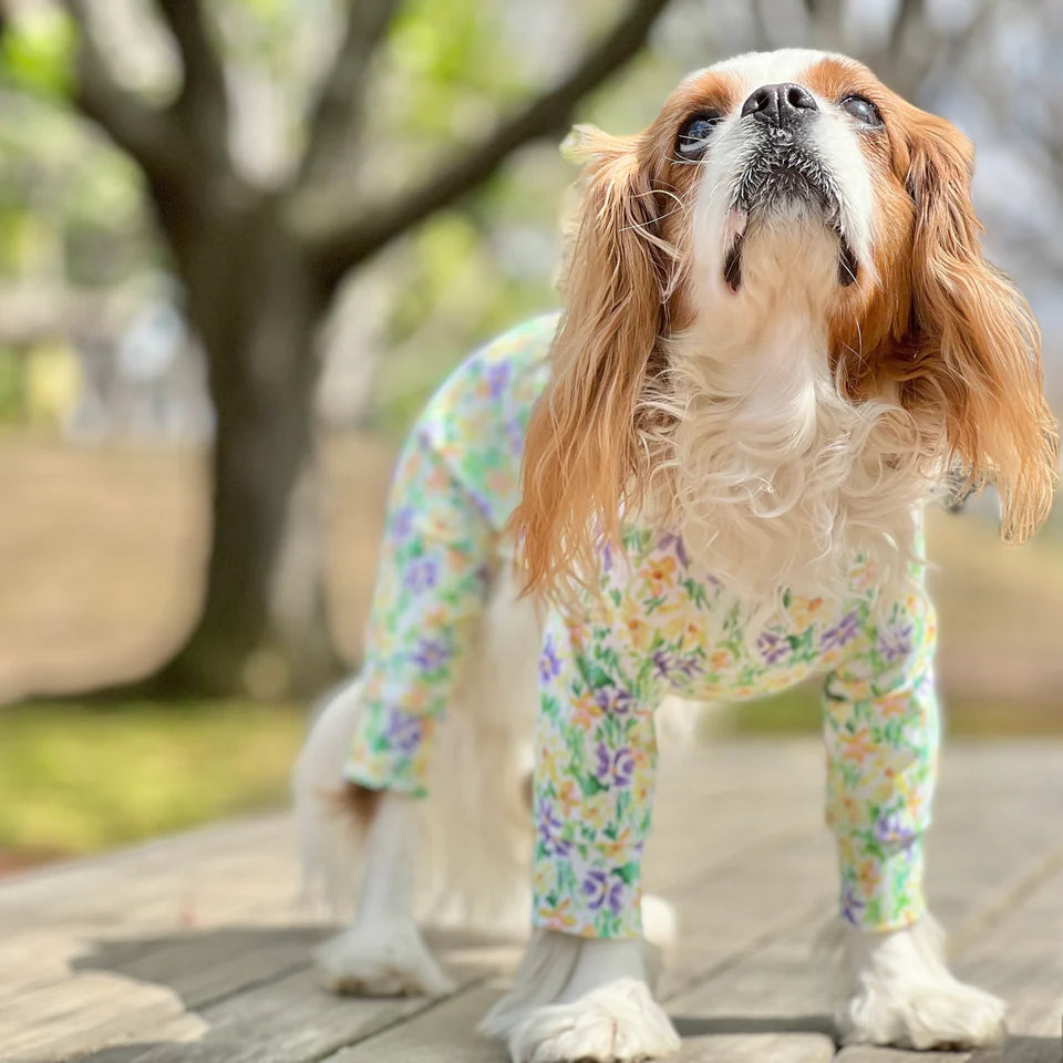 Multi Protect Suit – Daisy Shower