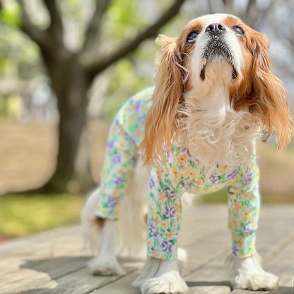 Multi Protect Suit – Daisy Shower