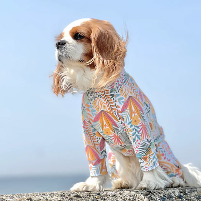 Multi Protect Suit – Joy Bloom