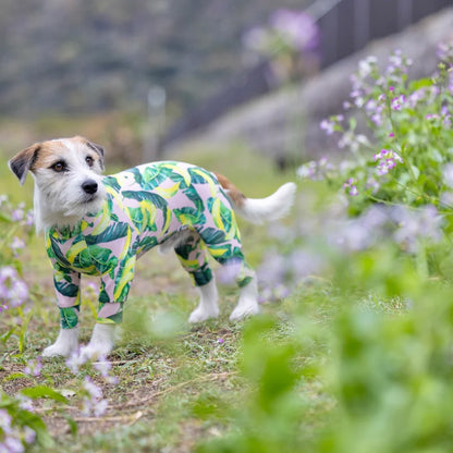 Multi Protect Suit –Dancing Banana