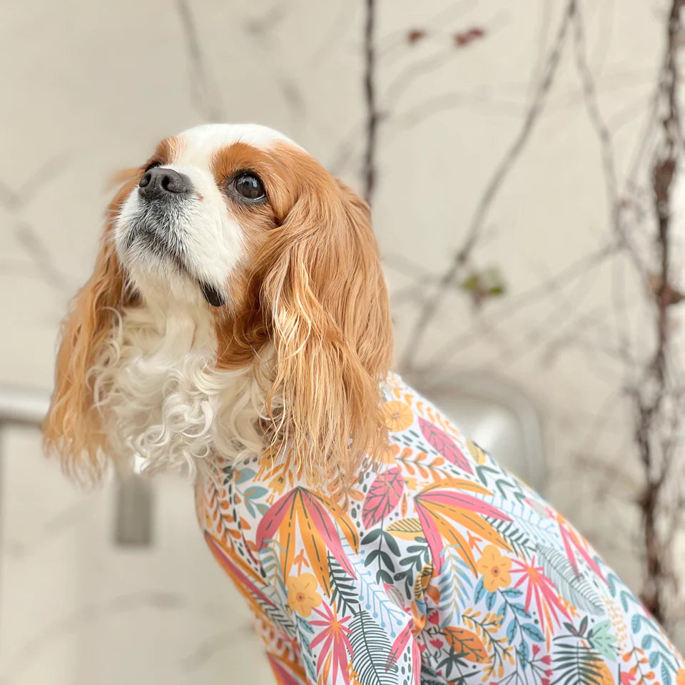 Multi Protect Suit – Joy Bloom