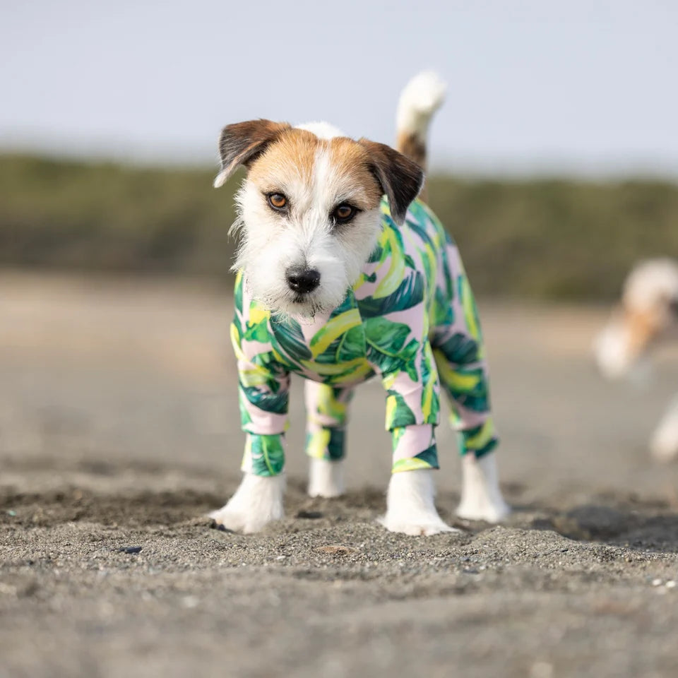 Multi Protect Suit –Dancing Banana