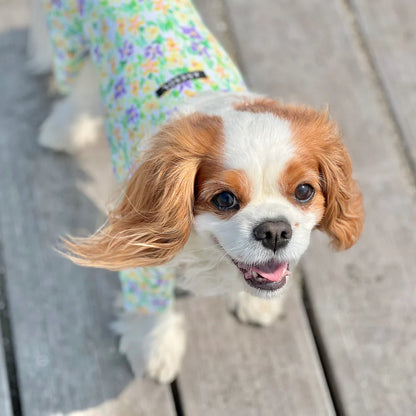 Multi Protect Suit – Daisy Shower