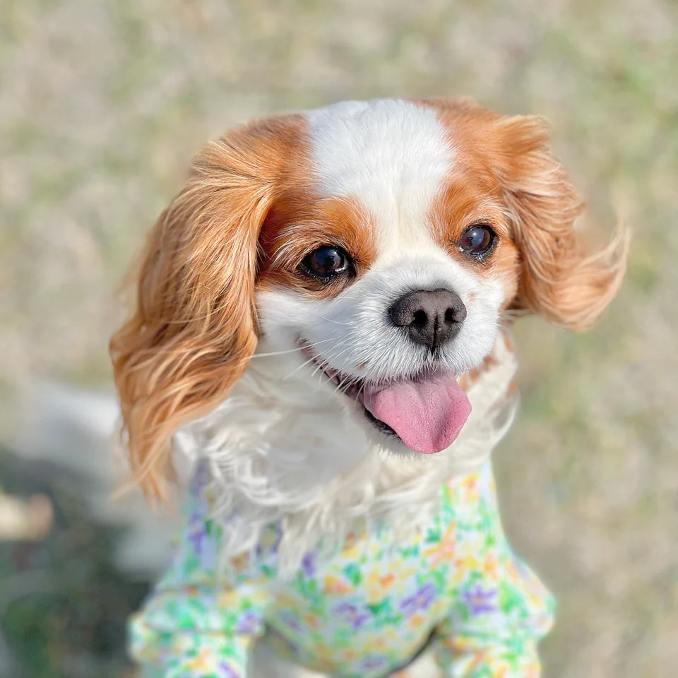 Multi Protect Suit – Daisy Shower