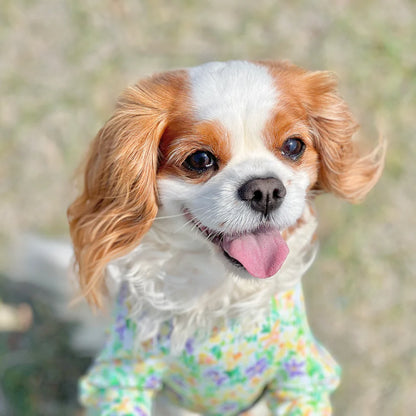 Multi Protect Suit – Daisy Shower