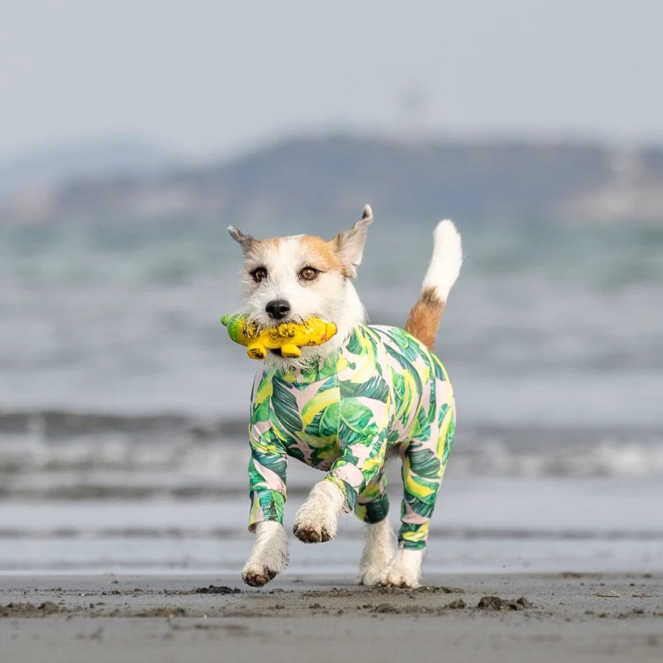 Multi Protect Suit –Dancing Banana