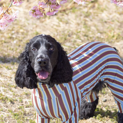 Multi Protect Suit – Cocoa Stripe