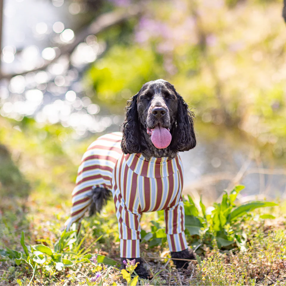 Multi Protect Suit – Cocoa Stripe