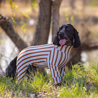 Multi Protect Suit – Cocoa Stripe