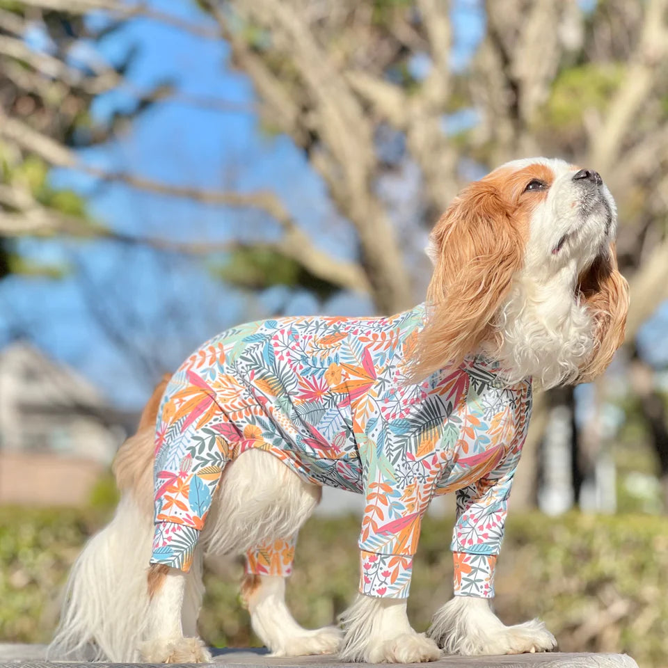 Multi Protect Suit – Joy Bloom