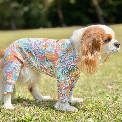 Multi Protect Suit – Joy Bloom
