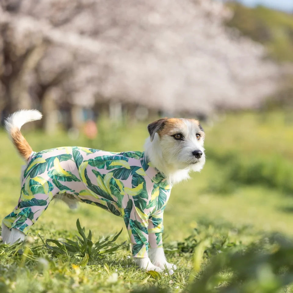 Multi Protect Suit –Dancing Banana
