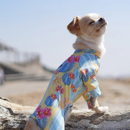 Multi Protect Suit - Cactus Land