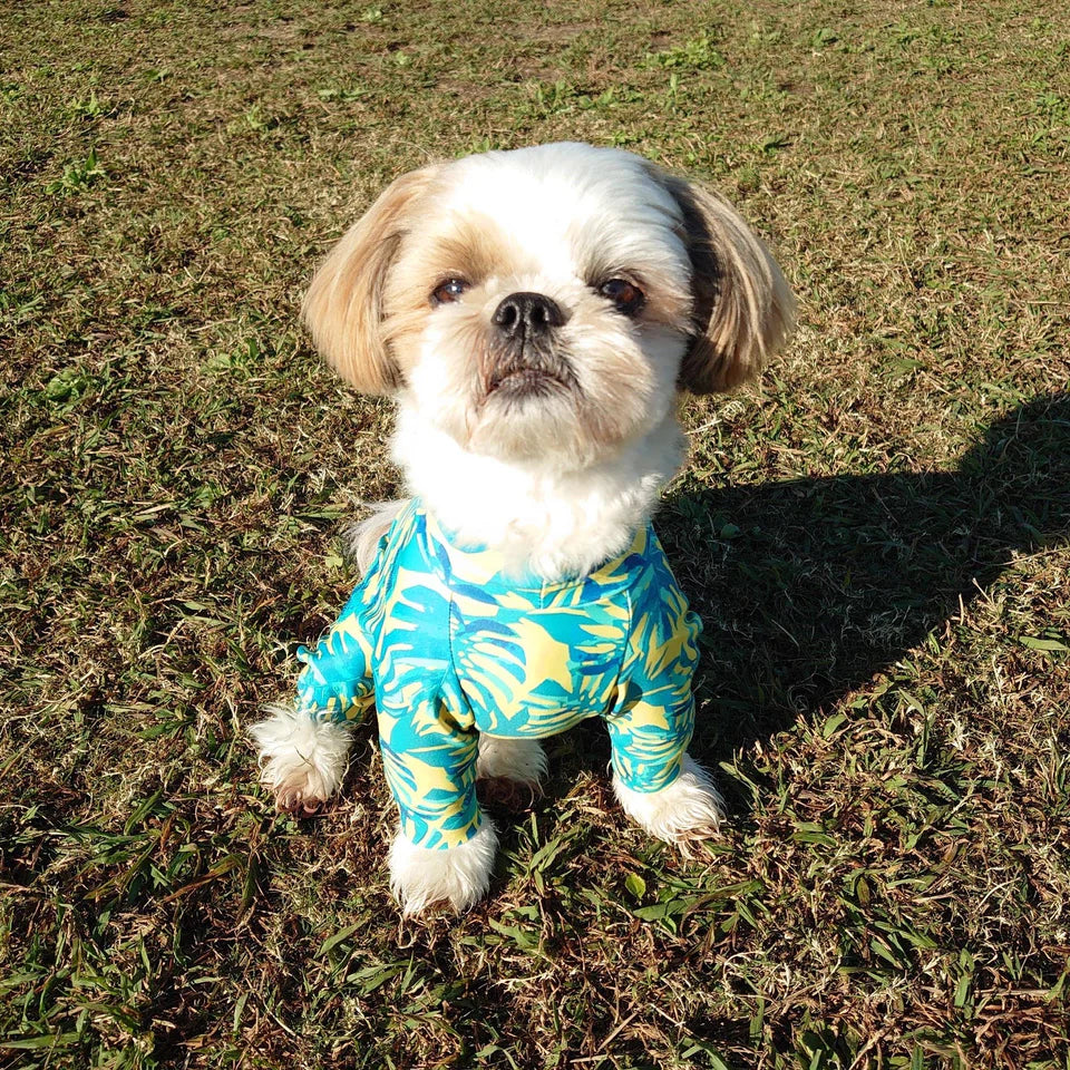Multi Protect Suit – Happy Jungle