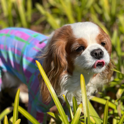 Multi Protect Suit – Pink Plaid