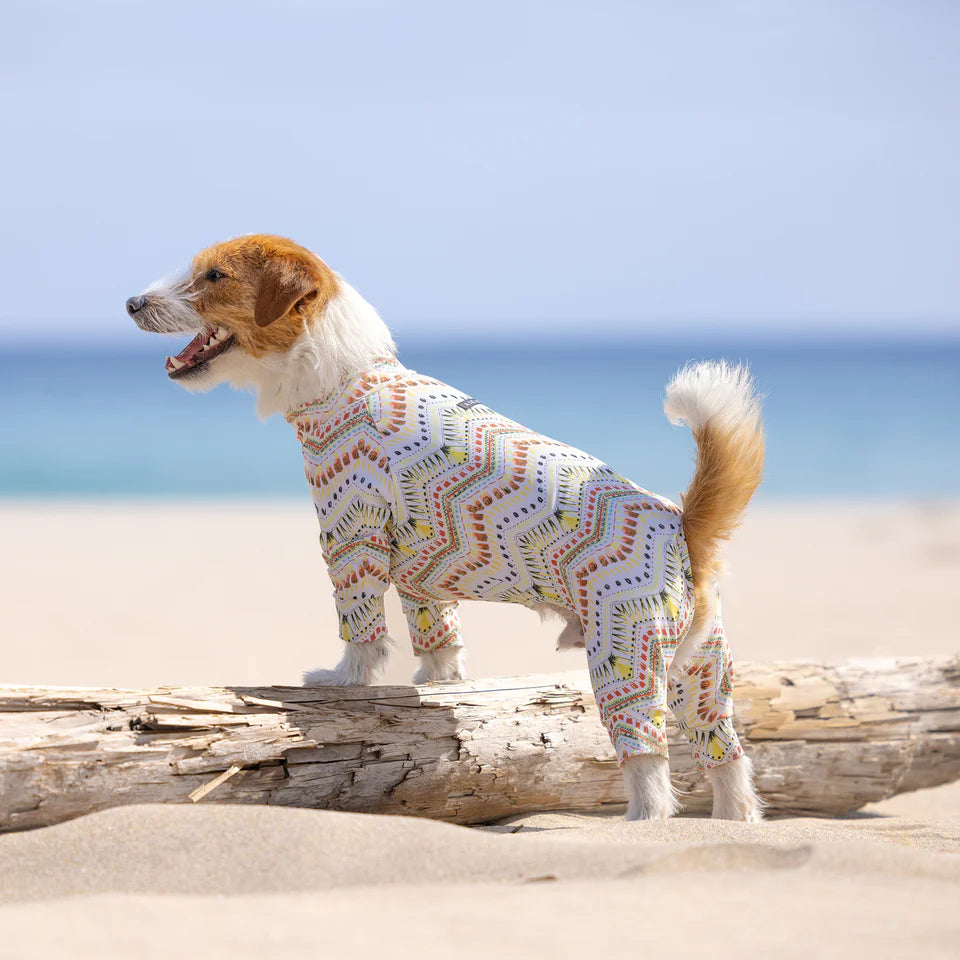 Multi Protect Suit – Native Spirit