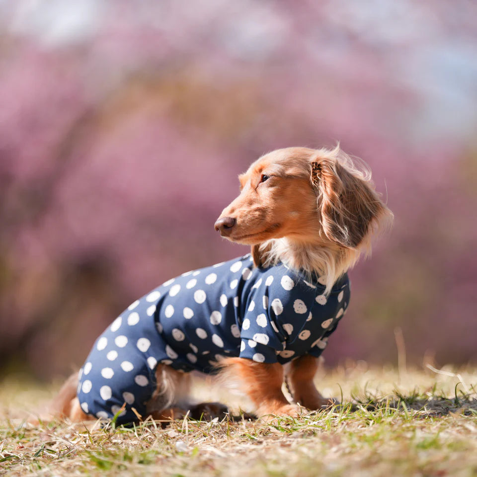 Multi Protect Suit – Navy Dot