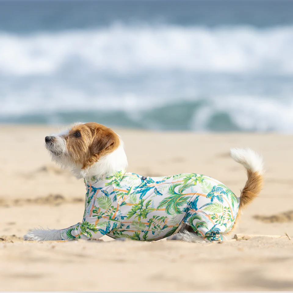 Multi Protect Suit – Palm Island