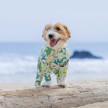 Multi Protect Suit – Palm Island