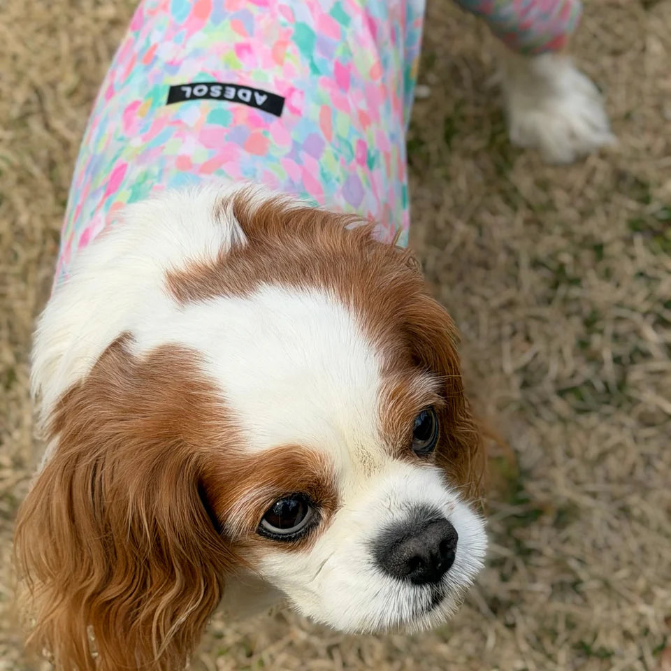 Multi Protect Suit – Spring Splash