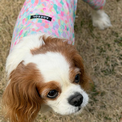 Multi Protect Suit – Spring Splash