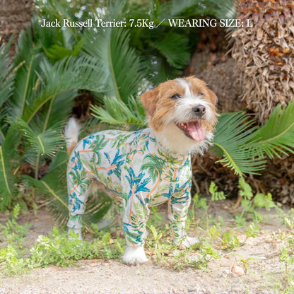 Multi Protect Suit – Palm Island