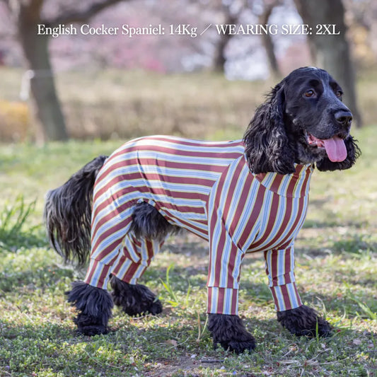 Multi Protect Suit – Cocoa Stripe