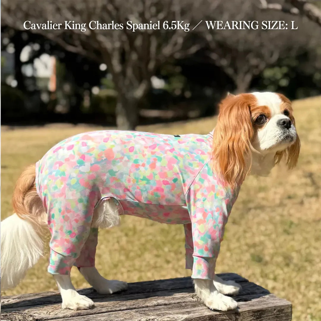 Multi Protect Suit – Spring Splash