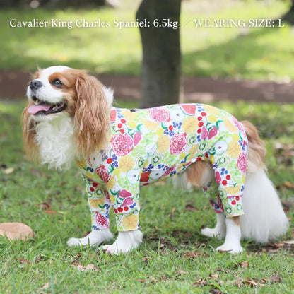 Multi Protect Suit –Fruit Fiesta