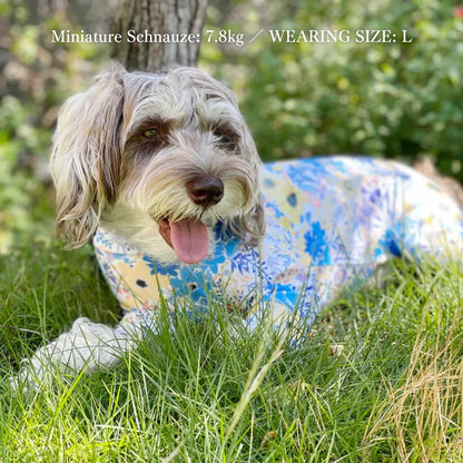 Multi Protect Suit – Royal Garden
