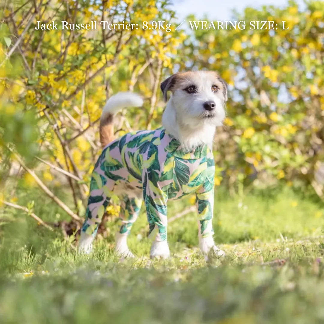 Multi Protect Suit –Dancing Banana