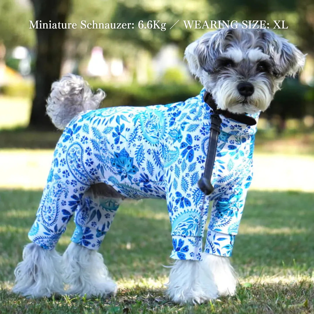 Multi Protect Suit – Blue Paisley